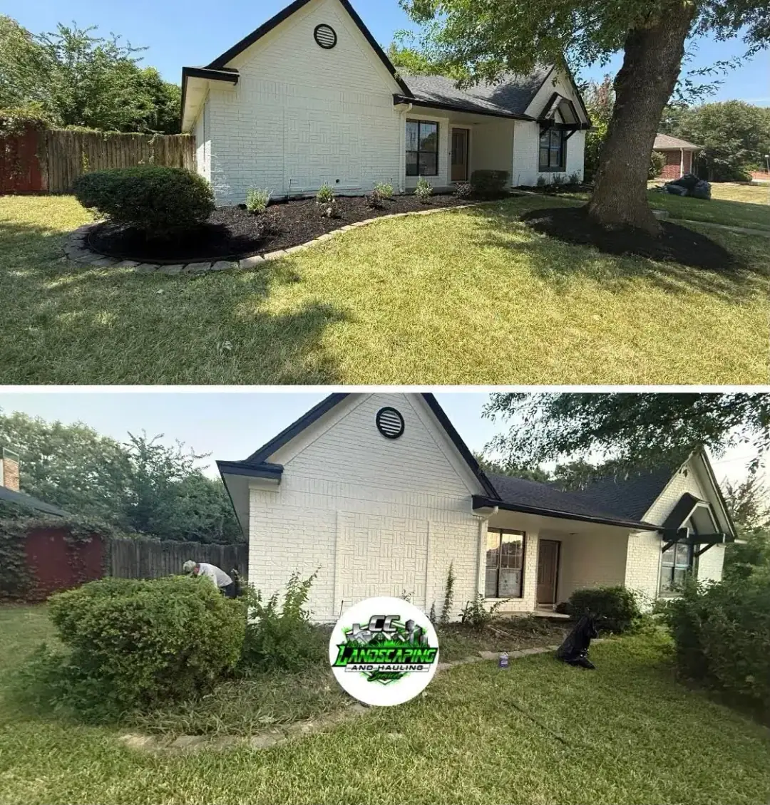 Shrubs trimmed and beds mulched and edged - After (top) and before (bottom)