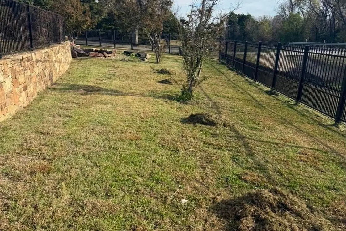 Back yard beside a stone wall with piles of cleared debris